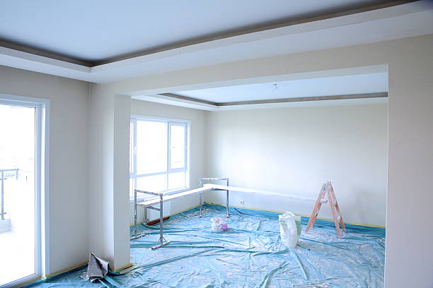 Best Ceiling Drywall Installation  in Truman, MN